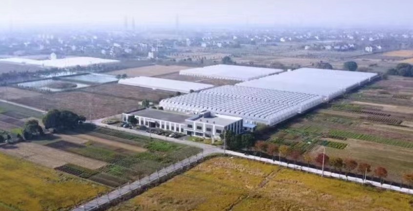 在300余亩的育苗产业园，AG8旗舰厅股份守护幼苗